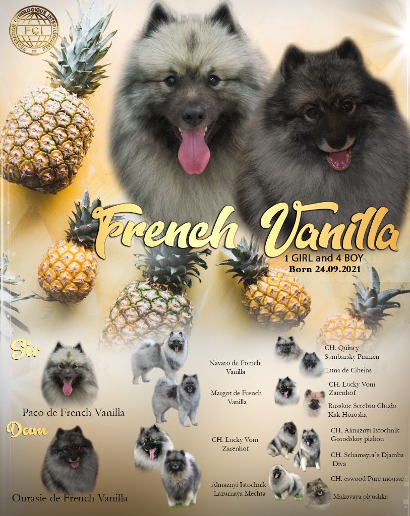 French Vanilla - Ourasie de French Vanilla et Paco de French Vanilla