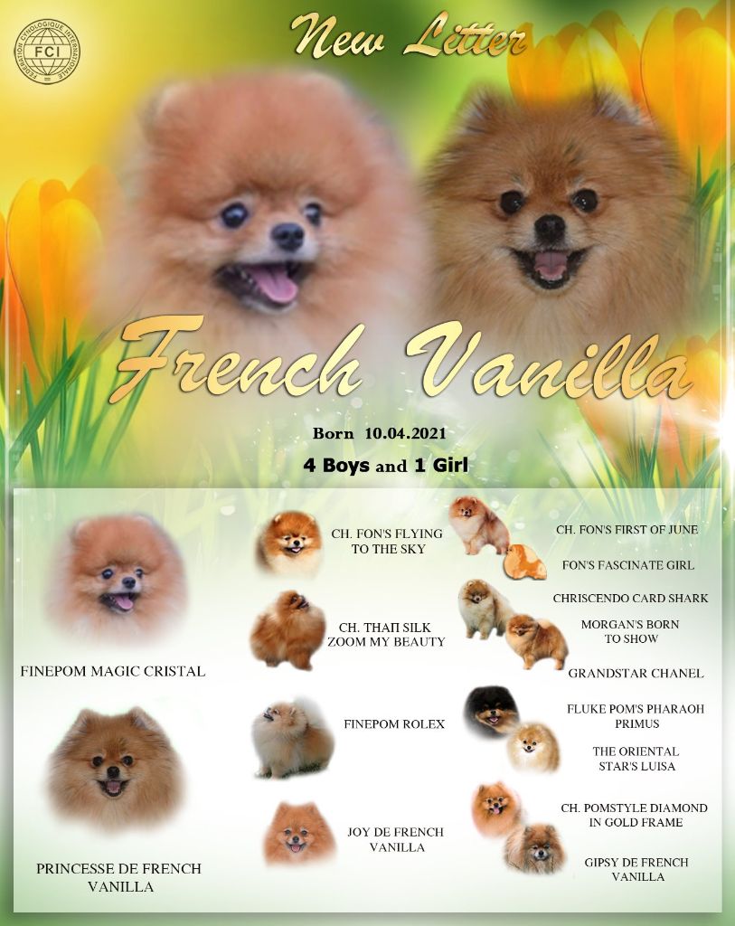 French Vanilla - Princesse de French Vanilla et Finepom Magic Cristal